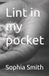 Lint Independently Published Lint in my pocket Paperback