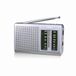HAEGER Goal draagbare FM-radio met telescopische antenne met 32 cm polsband, aansluiting voor hoofdtelefoon