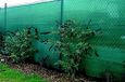 Riegolux 107661 privacyscherm, groen, 4 x 5 m, 70 g/m²