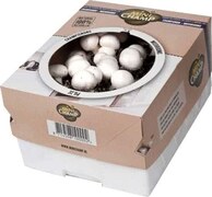 Mini Champ Thuiskweekpakket witte champignons 7.5 Liter zelf champignons kweken