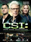 CSI Sony Music Entertainment Germany GmbH CSI: Crime Scene Investigation / DVD / 2013