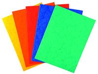 Exacompta - ref. 220000E - Set van 25 glanskartonnen dossiermappen - 225 g/m² - FSC®-gecertificeerde mappen - Afmetingen: 24 x 32 cm voor A4-documenten - 5 geassorteerde kleuren