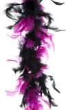 Funny Fashion Carnaval verkleed boa met veren - zwart/roze - 200 cm