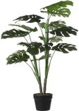 Mica Decorations Kunstplant Monstera in Plastic Pot | 4 stuks