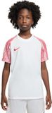 Nike Dri-fit Academy T-shirt Met Korte Mouwen Wit 11 Years Jongens