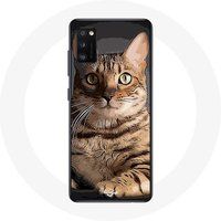 Maniacase Hoesje voor Samsung Galaxy S20 Bengaalse katten race