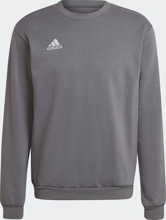 adidas Performance Entrada 22 Sweatshirt - Men - Grey - L