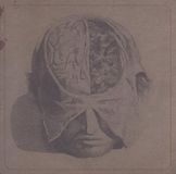 Suburban Farsot - Insects