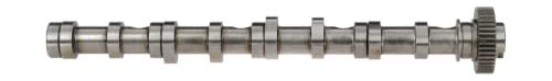 AE Arbre à came pour LAND ROVER: Land Rover & AUDI: TT, A5, A3, A4, A6, Q3, Q5, A1 & VOLKSWAGEN: Touran, Tiguan, Golf Cabriolet, Golf (Ref: CAM961)