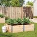 Maison Exclusive - Jardinière pour le jardin, 150 x 100 cm, fabriquée en pin massif