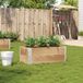 Maison Exclusive - Jardinière, 100x50 cm, bois massif, pin