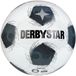 Derbystar Trainingsvoetbal Apus TT V26 122054 Weiss/Schwarz
