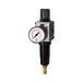 RIEGLER FUM 821 M-8 filterregelaar