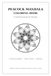 Peacock style mandala art coloring book