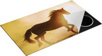 Chefcare Inductie Beschermer Paard - 89,6x51,6 cm - Multicolor