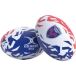 Gilbert Ballon de rugby Grenoble