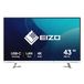 EIZO FlexScan EV4340X-WT - LED monitor - 42.5" - 3840 x 2160 - IPS - 350 cd/m² - 5 ms - White