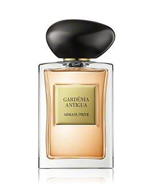 Armani Giorgio Armani Parfums Eau de Toilette / 100 ml / Unisex