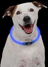 Nite Ize NITEHOWL - Veiligheidshalsband voor Honden & Katten - LED Blauw - Verstelbaar