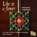 Like Regent Records Limited Like to a Flower