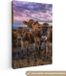 OneMillionCanvasses Canvas Schilderij Koe - 90x140cm - Multicolor - Rechthoekig