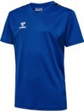 Hummel Kindersportshirt Hmlauthentic Pl Jersey S/S Kids 219965