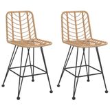 VidaXL Tuinstoel Terras Polyethyleen, Polyrattan, Staal