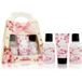 Accentra Essential Botanicals Body Gel 3 st