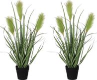 Mica Decorations Kunstplant - 2x stuks - siergras - groen - in pot - H53 x D30 cm