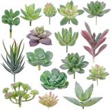 Augshy Kunstvetplanten, 16 stuks kleine kunstvetplanten, groene vetplanten voor kantoor, woonkamer, tuindecoratie