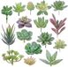 Augshy Kunstvetplanten, 16 stuks kleine kunstvetplanten, groene vetplanten voor kantoor, woonkamer, tuindecoratie