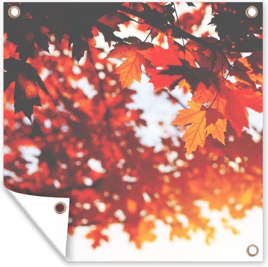 GreatGardenPosters Tuinposter Herfst Bladeren Oranje Tak 200x200 cm - Buitenposter