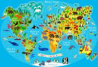 Bluebird Puzzle Legpuzzel World Travel Map - 300 pièces