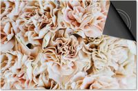 Dietrix Inductie Beschermer - DELUXE - Flowers 10 - Pioen lichtroze - 78x52cm