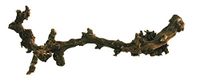 Lucky Reptile DLD-XL donker druivenhout, XL