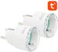 Gosund Prise intelligente Wi-Fi pour Tuya 3680W 16A Lot de 2 Télécommande