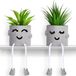 Goodivery Plante artificielle suspendue avec succulentes réalistes