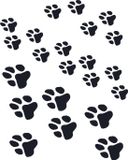 Eulenspiegel Schminksjabloon Hondenpootjes / Paws