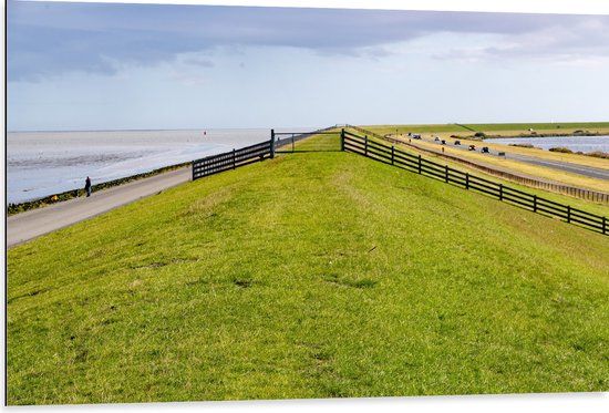 Merkloos / Sans marque Dibond - Dijk met Koeien langs de Noordzee in Nederland - 105x70 cm Foto op Aluminium