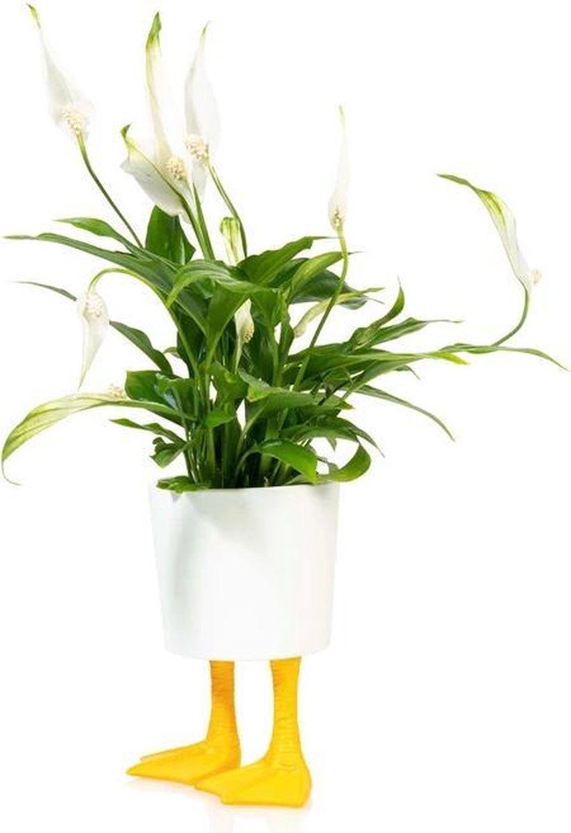 Bitten Plantenpot eendenpoten Porselein Wit/Geel Groot