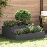 vidaXL Plantenbak Zwart 100 x 100 x 50 cm Koudgewalst staal