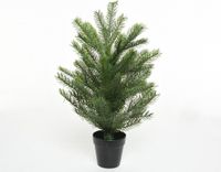 Everlands Grandis miniboom pot h75cm groen