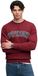 Superdry Athletic Applique Relaxed Sweatshirt Red 3XL Men