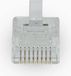 Nedis RJ45-Connector - RJ45 Pass Through - Solid UTP CAT5 - Recht - Verguld - 10 Stuks - PVC - Transparant - Doos