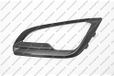 PRASCO Lüftungsgitter, Stoßfänger FD7522114 vorne links | Compatibel met: FORD ECOSPORT