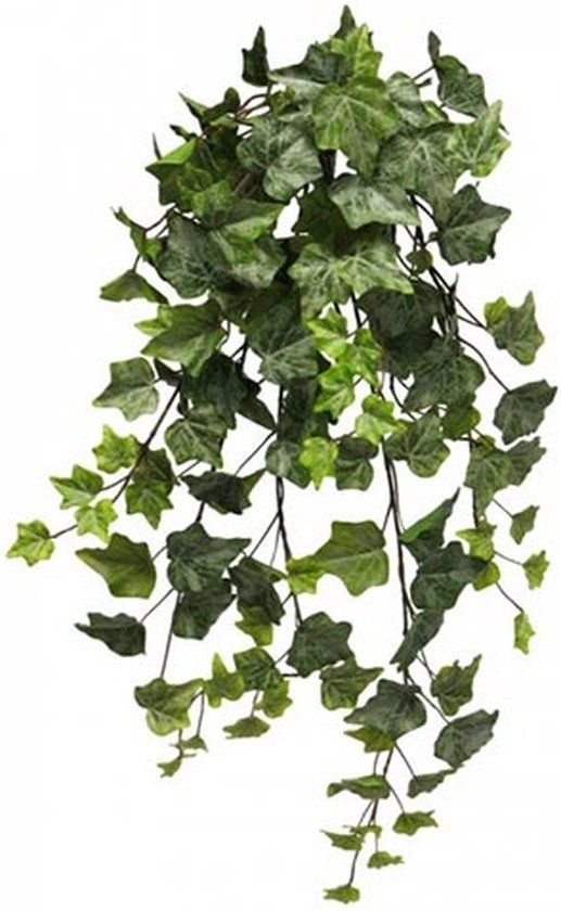 Erutan avon Frosted Ivy Chicago hanger 70 cm kunsthangplant