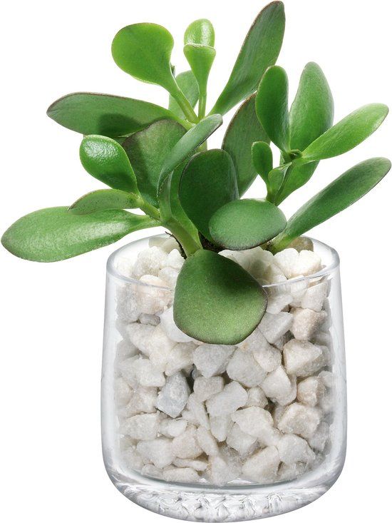 L.S.A. Market Theelicht Houder - 8 cm - Glas - Transparant