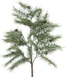Countryfield Kunstkerstboom Larix Glauca groen 96cm