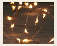 Anna's Collection Draadverlichting - Koper - 10 LED - Warm Wit - 100 cm