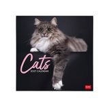 LEGAMI Katten Kalender 2027 Wandkalender
